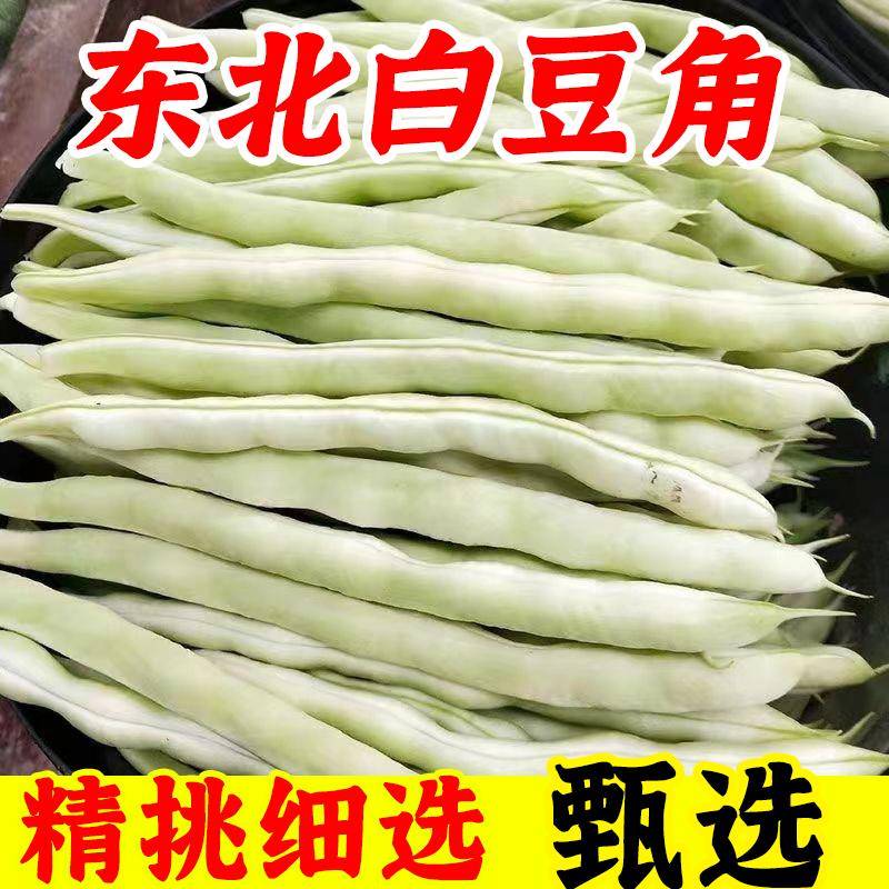 东北农家白豆角芸豆角白不老扁豆白大架豆角现摘新鲜蔬菜四季豆