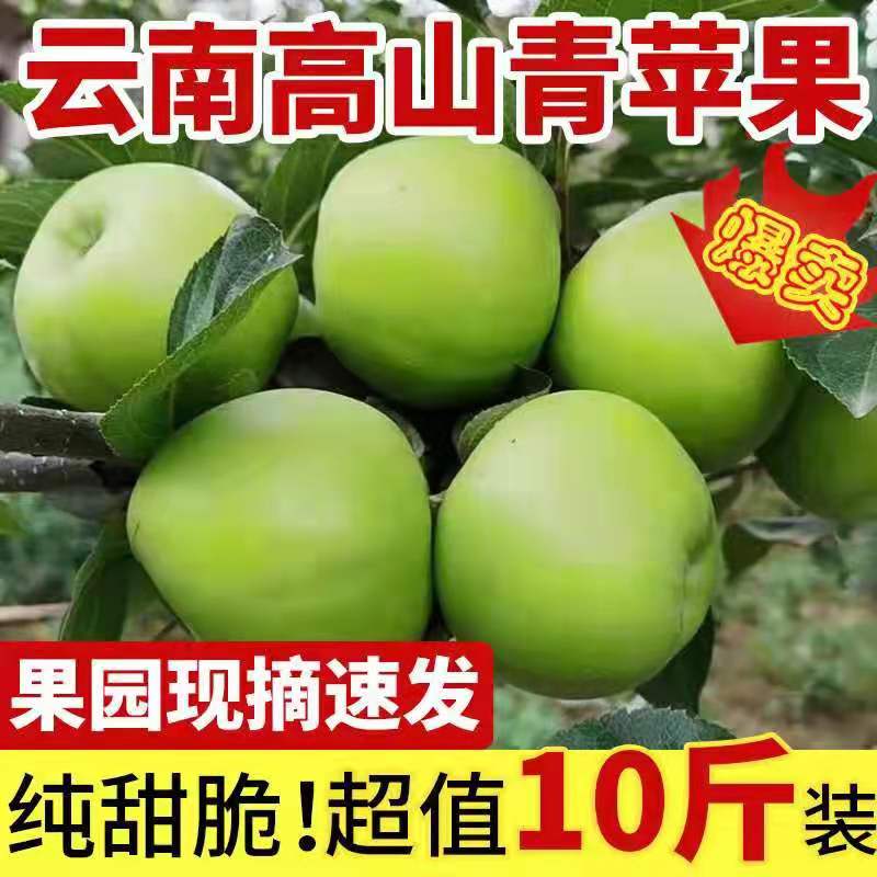 现摘云南昭通青香蕉青苹果新鲜10斤装当季整箱包邮脆甜孕妇水果甜