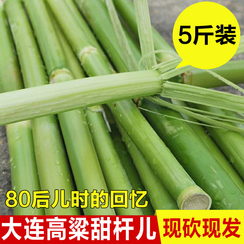 2026东北大连高粱甜杆甜芦粟甜高粱杆儿小甘蔗现砍高粱甜甘蔗五斤