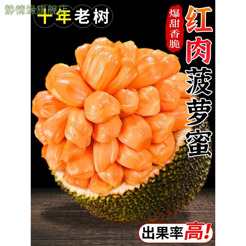 红肉菠萝蜜整个6-16斤应当季新鲜水果红心波罗蜜整箱,水产肉类/新鲜蔬果/熟食,菠萝蜜,淘宝优惠券,粉丝福利购,淘宝优惠卷