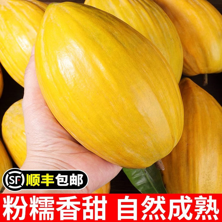 云南耀堂仙桃果新鲜鸡蛋果当季热带水果蛋黄果狮子头桃榄包邮,水产肉类/新鲜蔬果/熟食,其它,淘宝优惠券,粉丝福利购,淘宝优惠卷