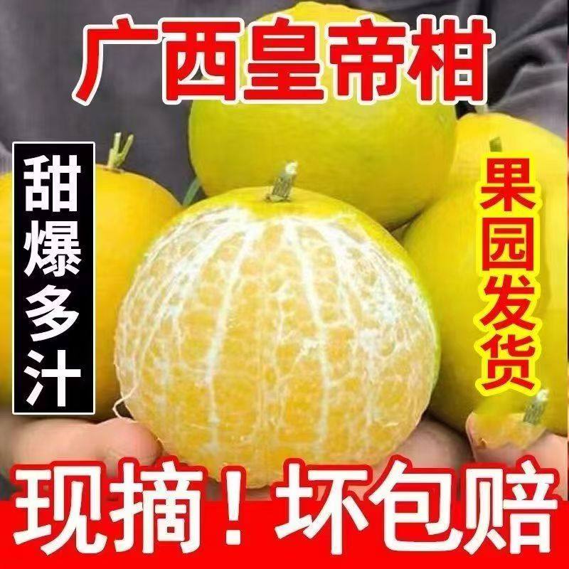现摘新鲜皇帝柑桔子新鲜一整箱青皮橘子水果砂糖蜜橘当季包邮,水产肉类/新鲜蔬果/熟食,桔子,淘宝优惠券,粉丝福利购,淘宝优惠卷