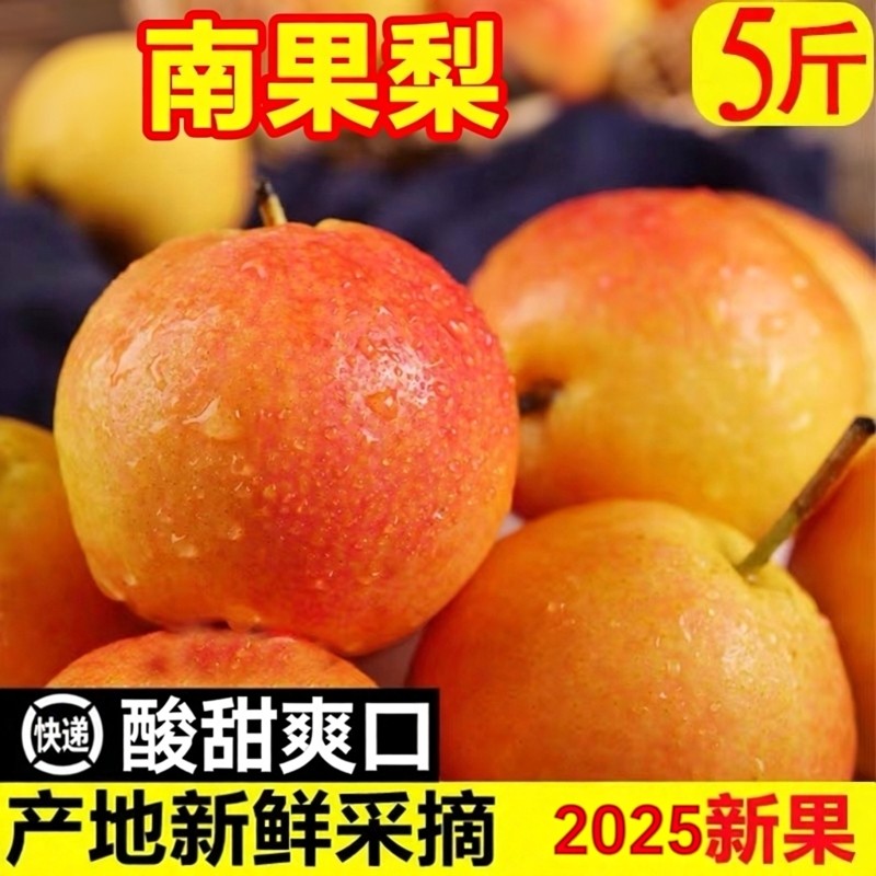 南果梨正宗海城新鲜安国南国产地鞍山梨新鲜水果酒梨辽宁特产礼盒,水产肉类/新鲜蔬果/熟食,梨,淘宝优惠券,粉丝福利购,淘宝优惠卷