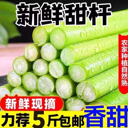 甜杆新鲜甜芦粟甜高粱杆小甘蔗芦稷现砍中段应季孕妇水果顺丰包邮