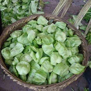 四川重庆农家肥新鲜疏菜青菜奶奶菜青菜块包包青菜杆泡酸菜腌盐菜