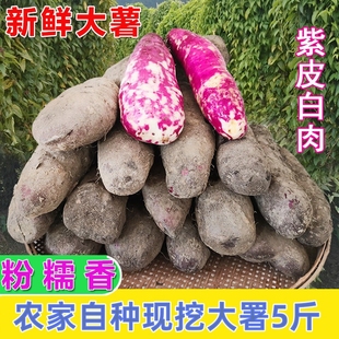 紫大薯农家毛薯新鲜蔬菜农家自种脚板薯紫皮白心紫淮山药现挖