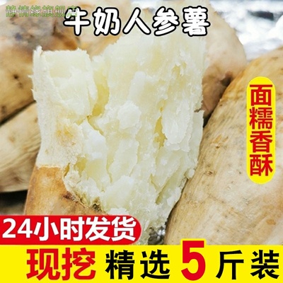 牛奶板栗红薯5斤 白皮人参薯白瓤新鲜白心地瓜冰糖心蜜薯白薯鲜生