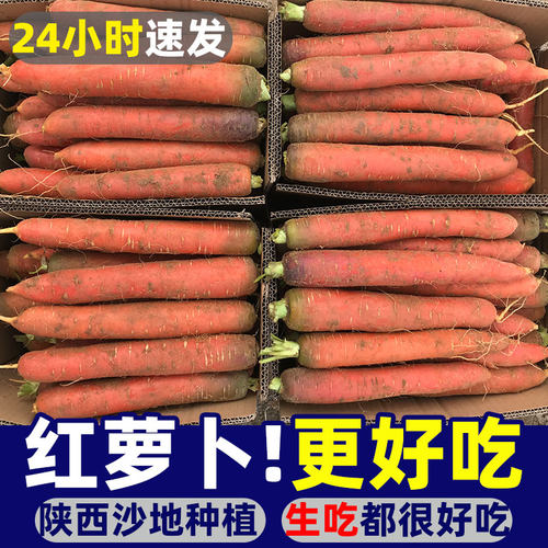 当天现挖水果红萝卜生吃都很好吃