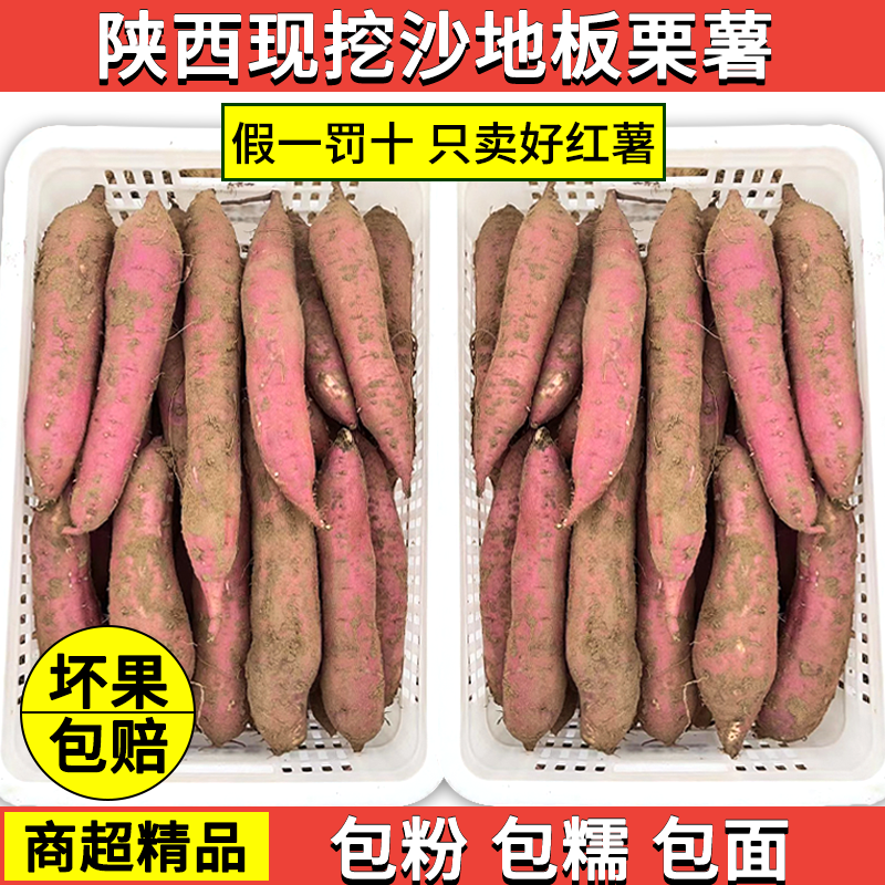 正宗陕西板栗薯干面粉甜新鲜现挖