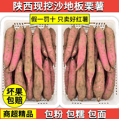 正宗陕西板栗薯干面粉甜新鲜现挖