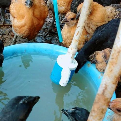 新款鸡鸭鹅自动喂水器饮水器家禽鸭子喝水饮水槽牛羊设备养殖用品