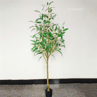 仿真桉大叶桉宿大馆叶尤加利树莽树树室内外商场酒店民图书123455