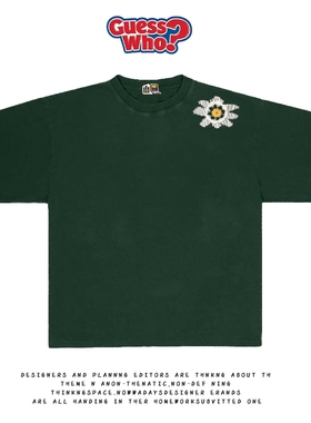 萬物All Nature 罕见小雏菊领Gal Gyaru口不规则印花女高百搭短袖