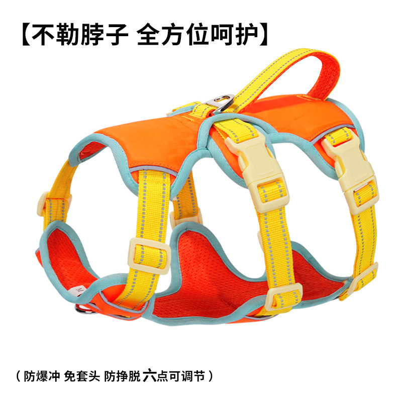 狗狗牵引绳防挣脱胸背带不勒脖中大型犬柯基金毛柴犬外出遛狗绳子图片