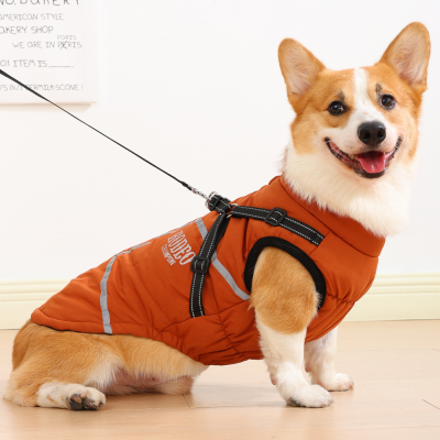 狗狗衣服冬装防风中小型犬柯基柴犬冬季保暖加厚石墨烯可牵引棉衣