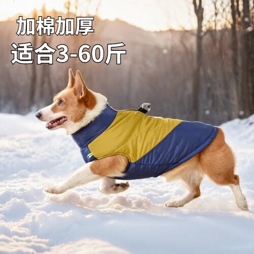 狗狗衣服2023新款冬季保暖棉衣