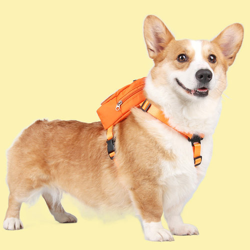 可牵引中小型犬宠物牵引自背包