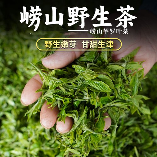 正宗崂山野生茶崂味道王哥庄