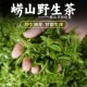 崂味道王哥庄春茶叶正宗崂山野生茶芊罗叶茶头采嫩芽甘枣叶养生茶