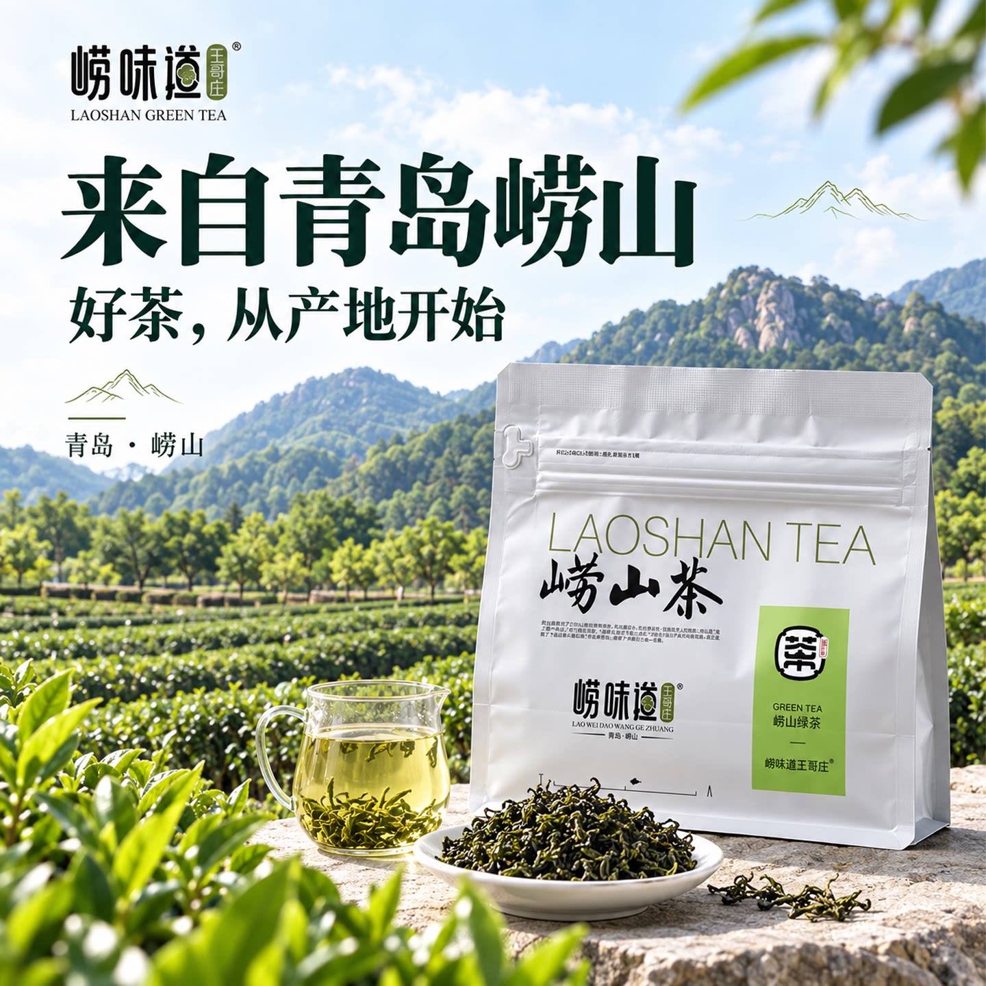 崂味道青岛崂山绿茶袋装新茶春茶特色产区正宗茶叶
