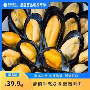 【国家地理标志】嵊泗枸杞岛黑口青贻贝海鲜无沙水产新鲜海虹淡菜