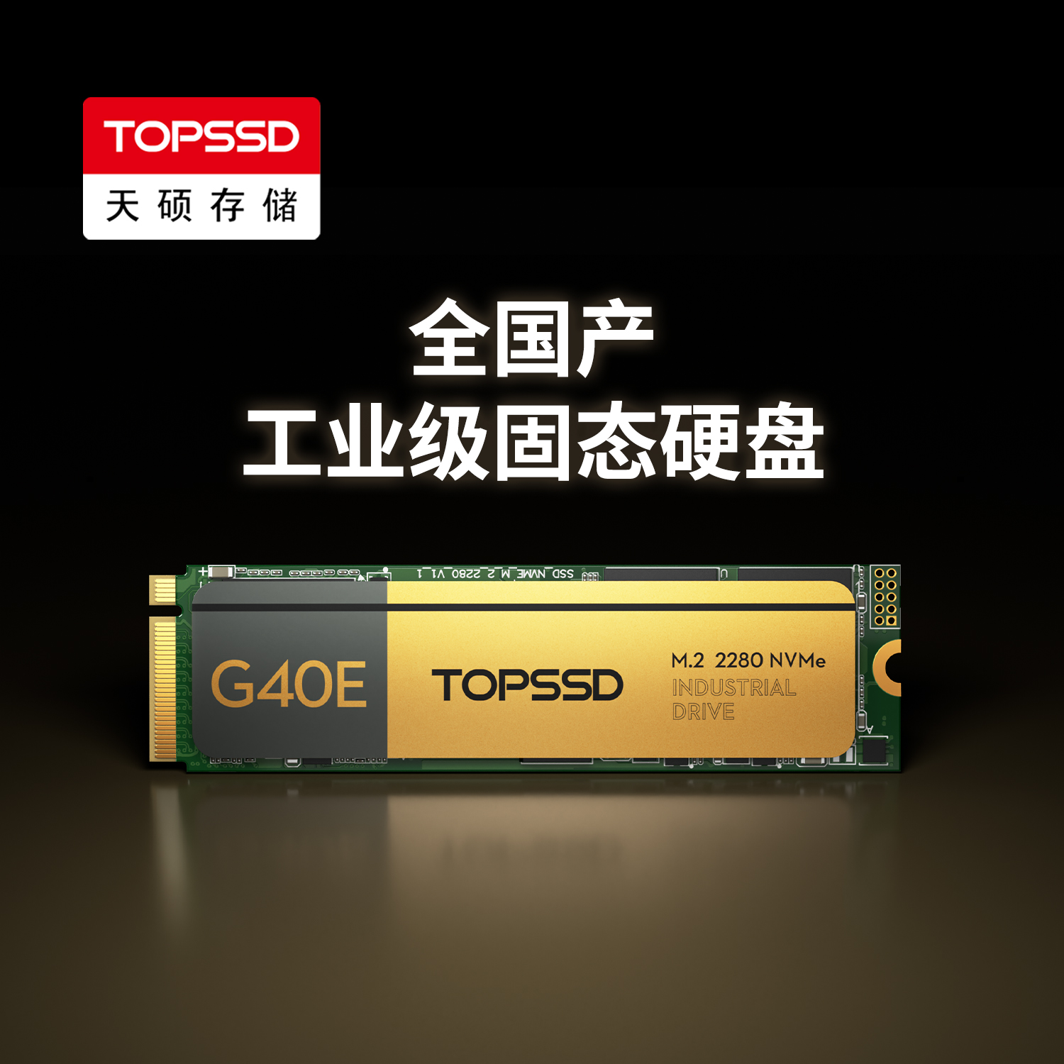 天硕（TOPSSD）G40E全国产M.2 NVMe准宽温工业级SSD固态硬盘4TB