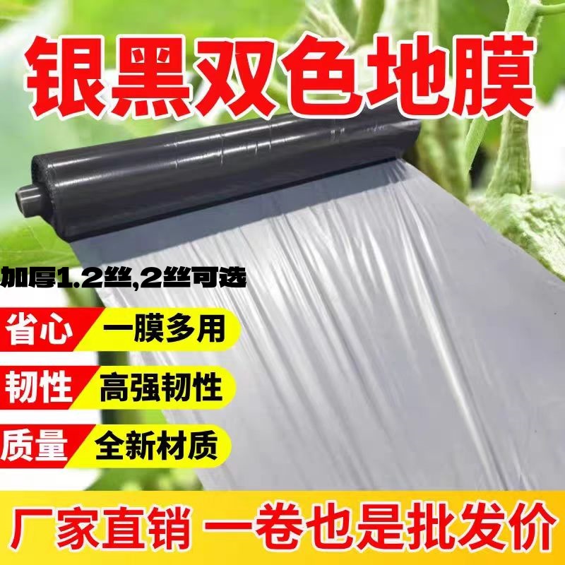 银黑双色反光地膜农用种植用地膜