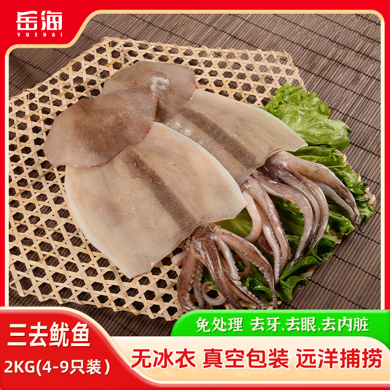岳海鱿鱼新鲜冷冻大鱿鱼鱿鱼鲜活商用海鲜水产鱿鱼圈鱿鱼须鱿鱼条 - 实物图