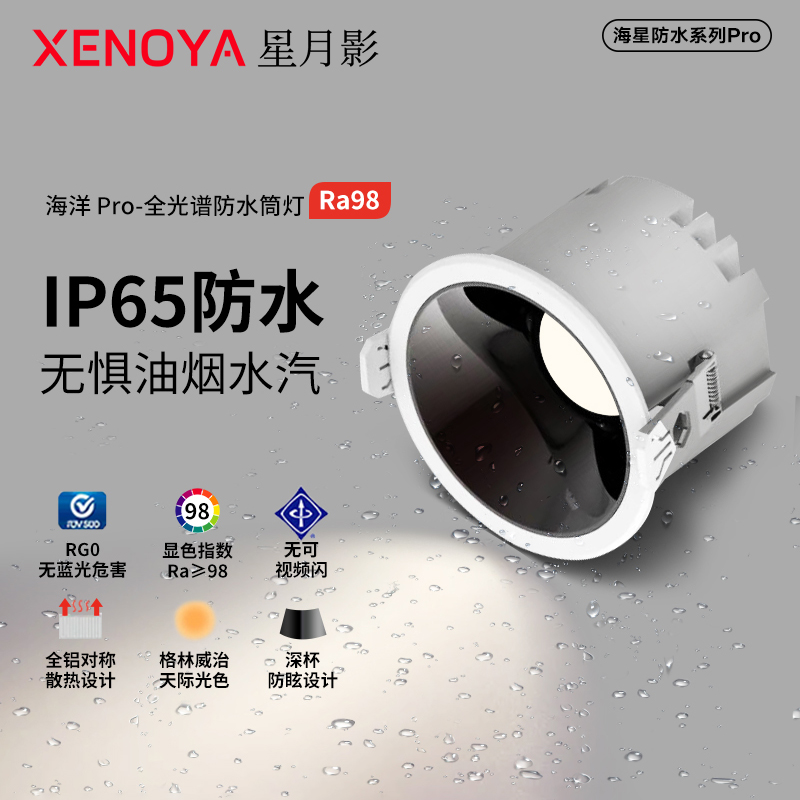 IP65级卫生间浴室防水防雾筒灯