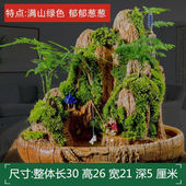吸水石盆景假山流水摆件望庐山瀑布假山盆景吸水石上水石摆件奇石