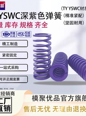 T-TY  深紫色弹簧合金弹簧模具弹簧矩形弹簧扁线弹簧耐热模具弹簧