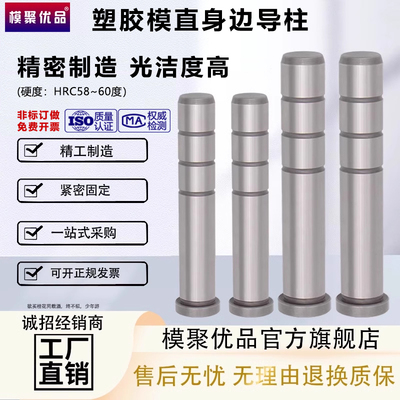模聚优品塑胶模模具直身导柱