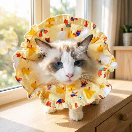 猫咪术后绝育防舔防抓伊丽莎白圈