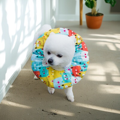 宠物脖套脖圈防水猫伊丽莎白圈