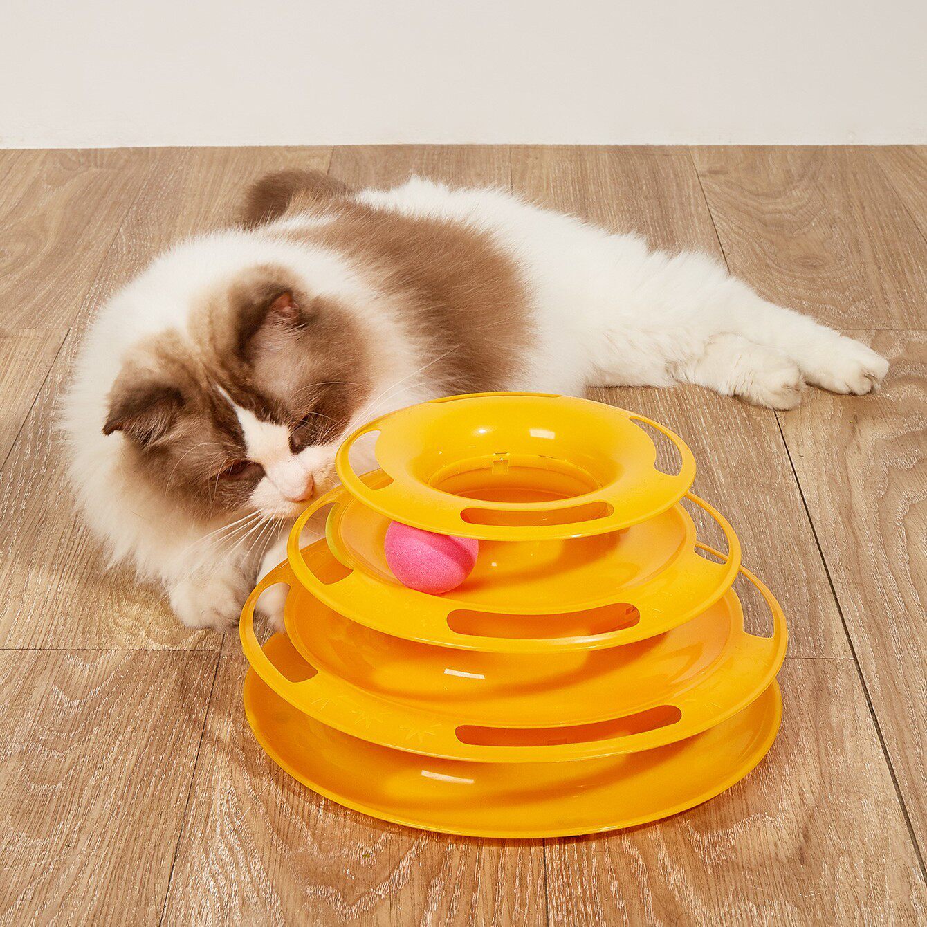 姆特猫玩具猫转盘自嗨解闷