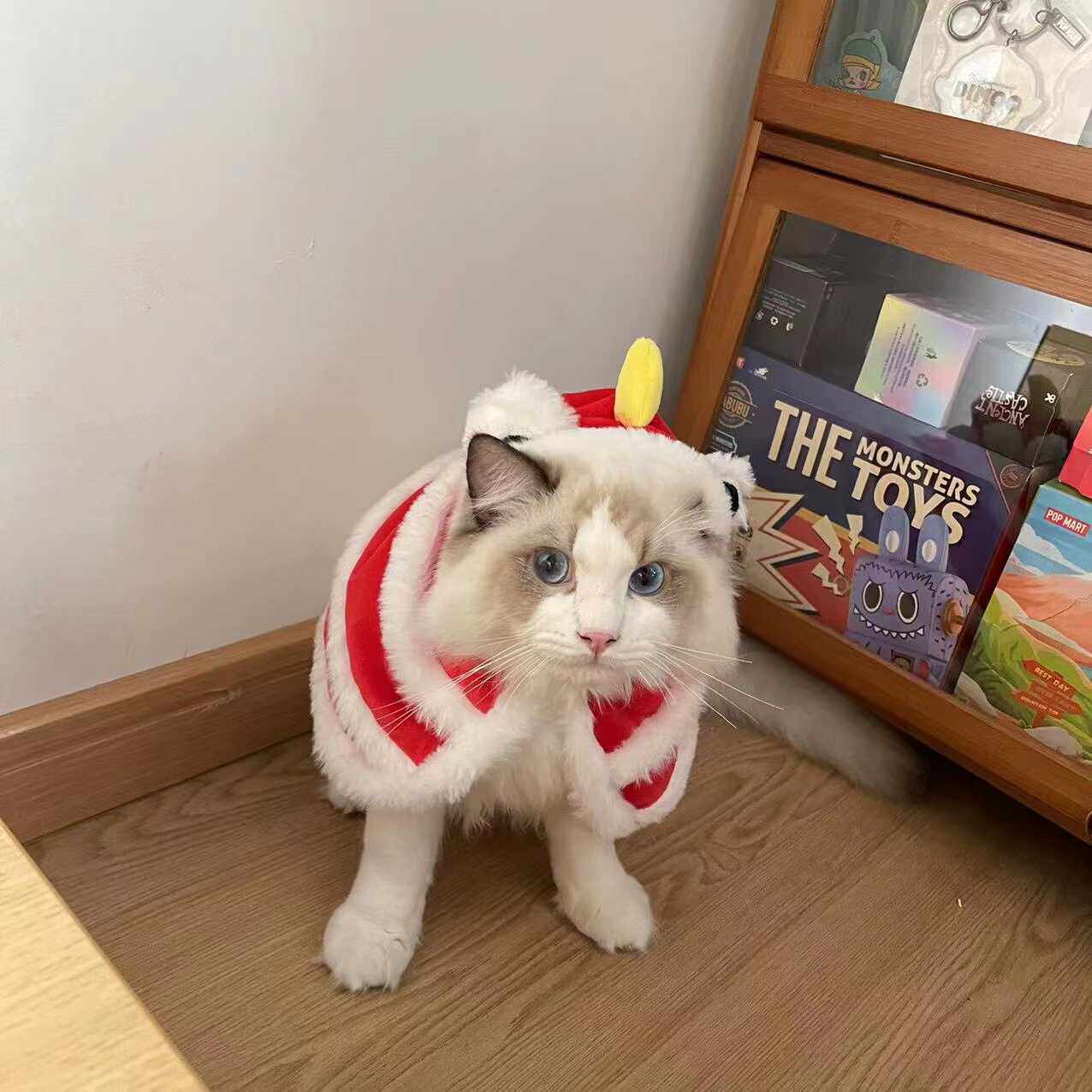 舞狮猫衣服个性搞笑舞狮猫服装