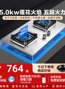 樱花燃气灶不锈钢天然气家用嵌入式液化气煤气灶大火力双灶TSA01