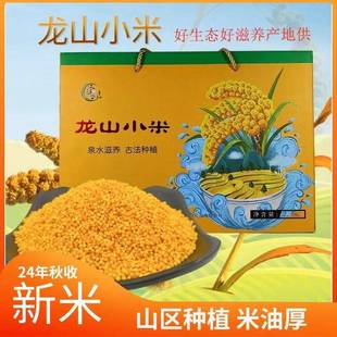 .新小米正宗龙山小米黄小米新米礼盒5斤真空山东章丘特产龙山贡米