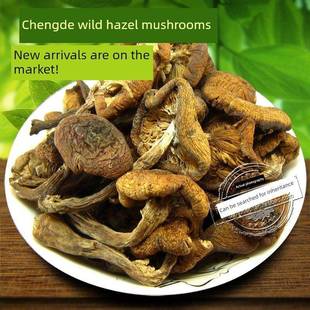 .新承德特产野生榛子菇250g鸡炖香菇山珍山味食用农产品营养野味