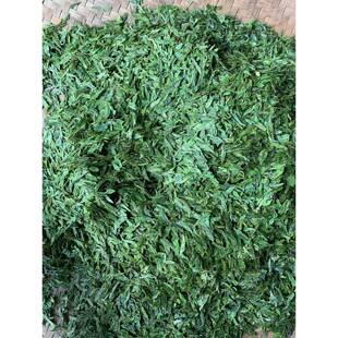 .2025新茶双井绿，修水明前绿茶自产自销江西茶500克