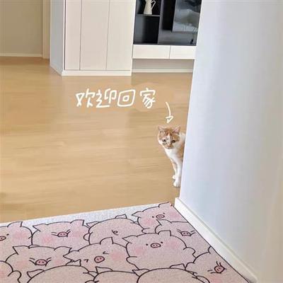 可爱粉色猪猪丝圈入户地垫门内门外刮泥蹭土玄关进门脚垫任意裁减