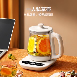 精选小浣熊迷你养生壶办公室小型容量mini烧水茶壶2煮茶器1一人0.