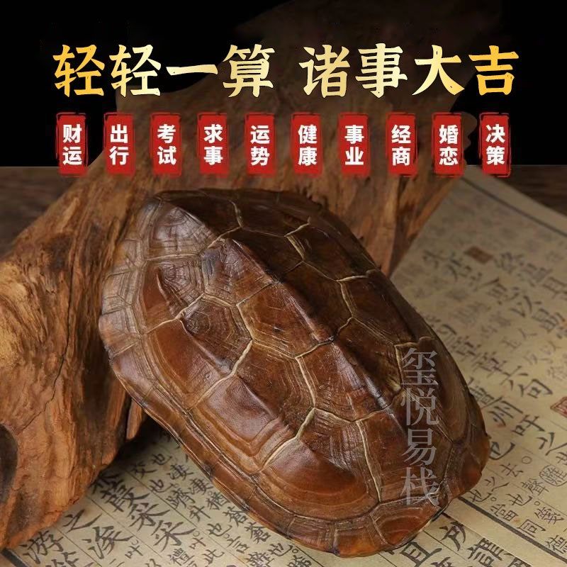 周易卦卜铜钱龟壳爻六铜钱工具真龟甲六爻铜钱摇卦算挂用品64卦牌