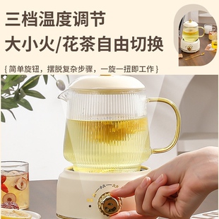 烫酒专用白酒红酒 智能保温黄酒温酒器电加热可调温家用热酒壶冬季