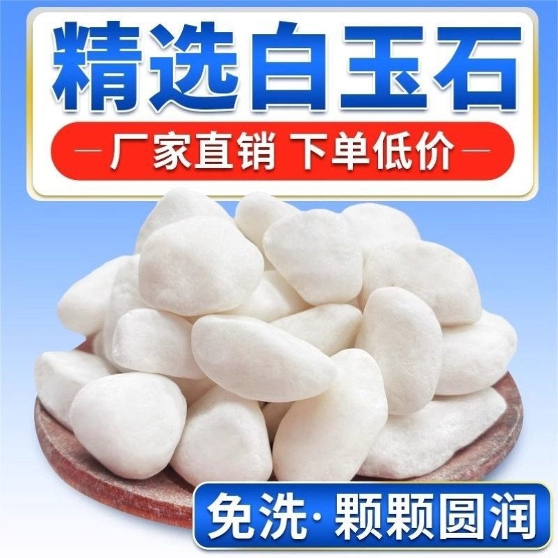 小白石子白石头庭院造景原石鹅卵石雨花石盆栽鱼缸底砂多肉铺面石