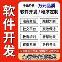 软件定制开发企业网站建设公众号搭建APP开发微信小程序开发公司