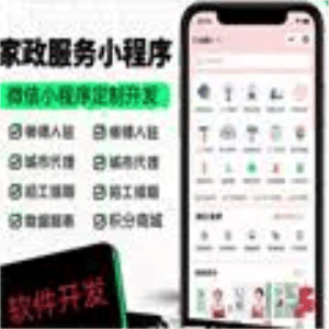 企业微信网络公司网站建设微信小其它设计服务