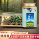 散装 一级正品 自己喝 2025新茶春茶乌龙茶 安溪清香型铁观音茶叶