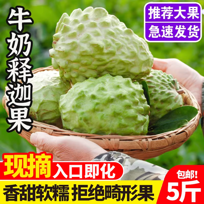 新鲜水果牛奶释迦果果园产地直发