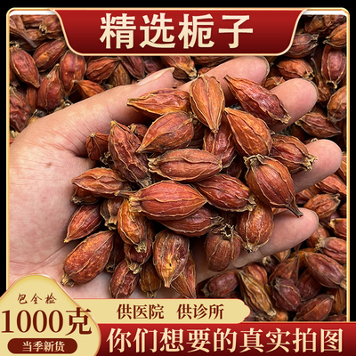 亳州中药材批 发红栀子药材500克栀子生栀子栀子茶黄枝子炒栀子粉